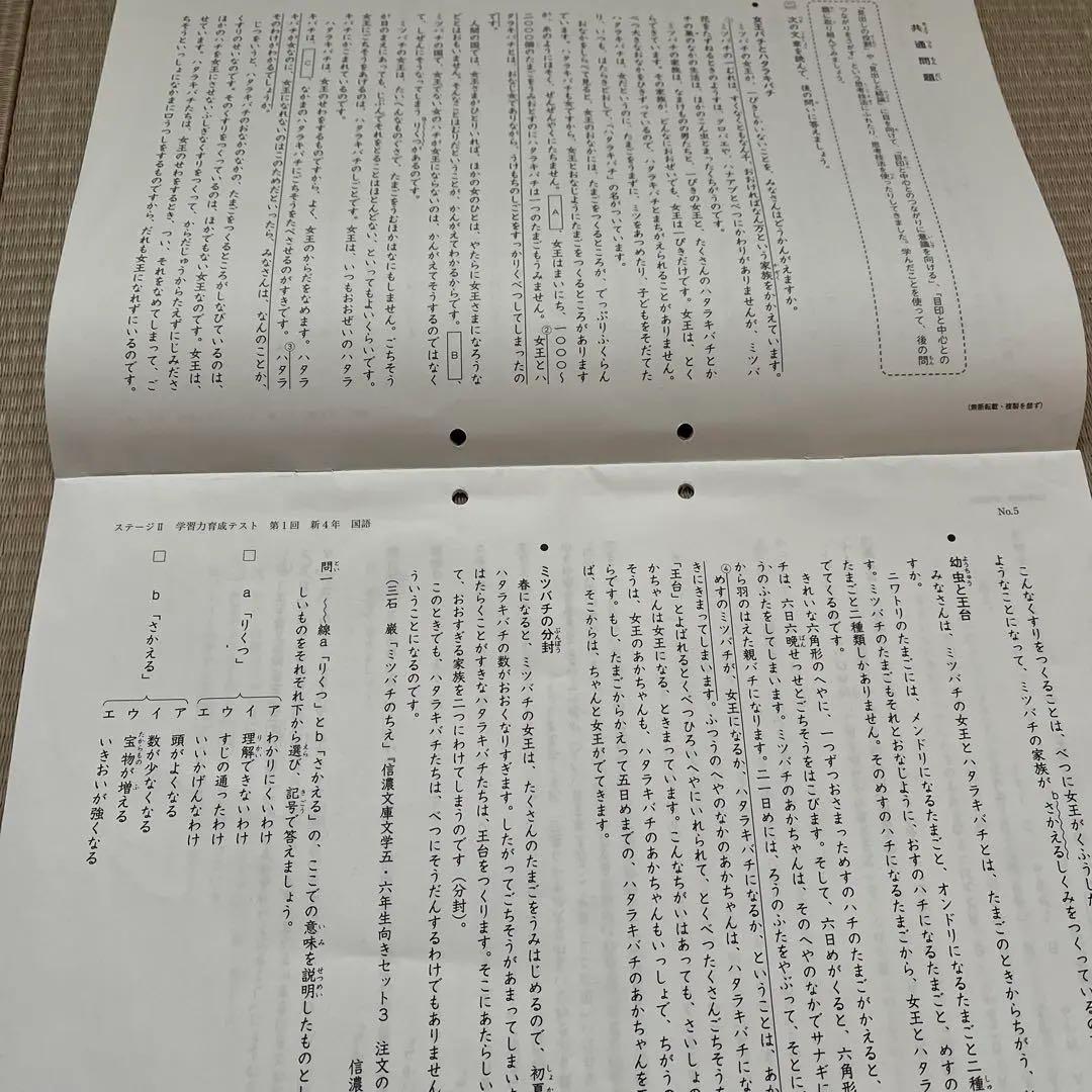 2025年‼️日能研 4年 ステージⅡ 育成テスト【前期】4科目他❗️