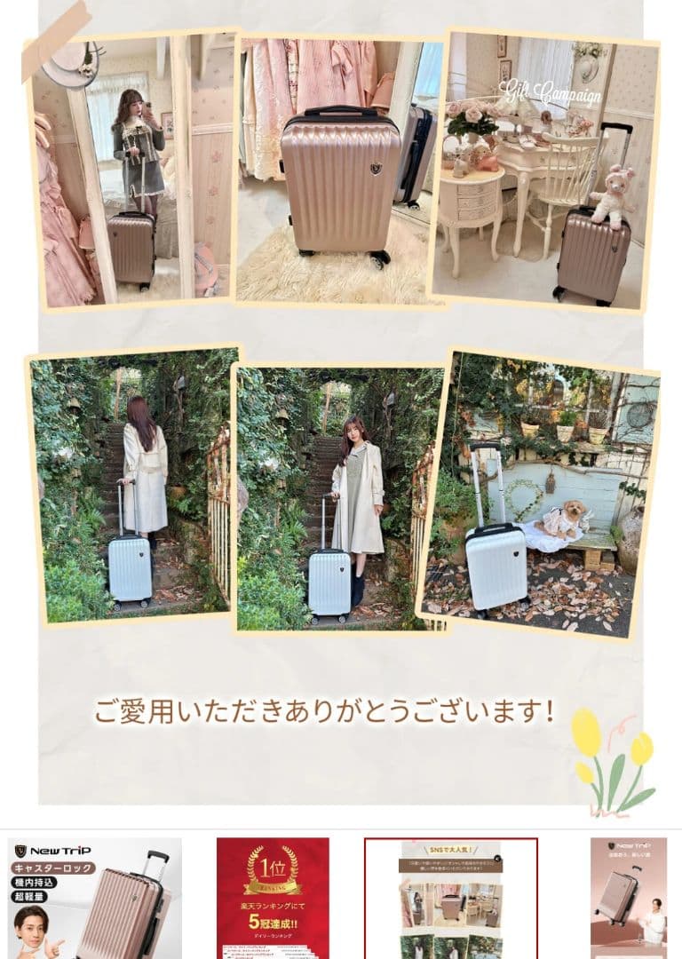 【新品】newtrip☆スーツケース、キャリーケース、S，ピンクゴールド