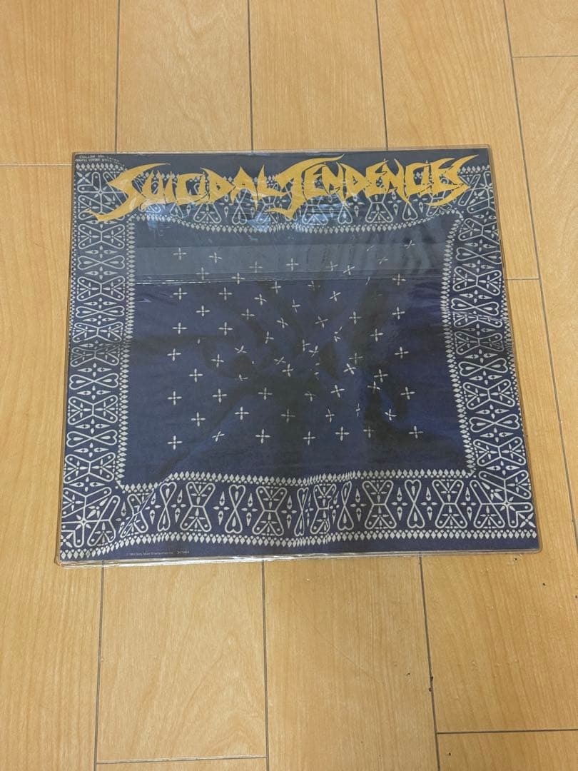 SUICIDAL TENDENCIES レコード スイサイダル スーサイダル