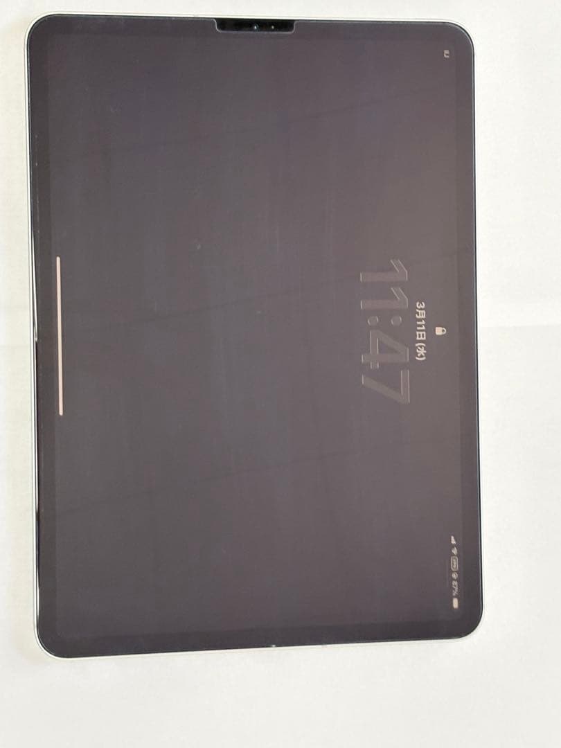 iPad Pro 11インチ 第1世代 64GB Cellular