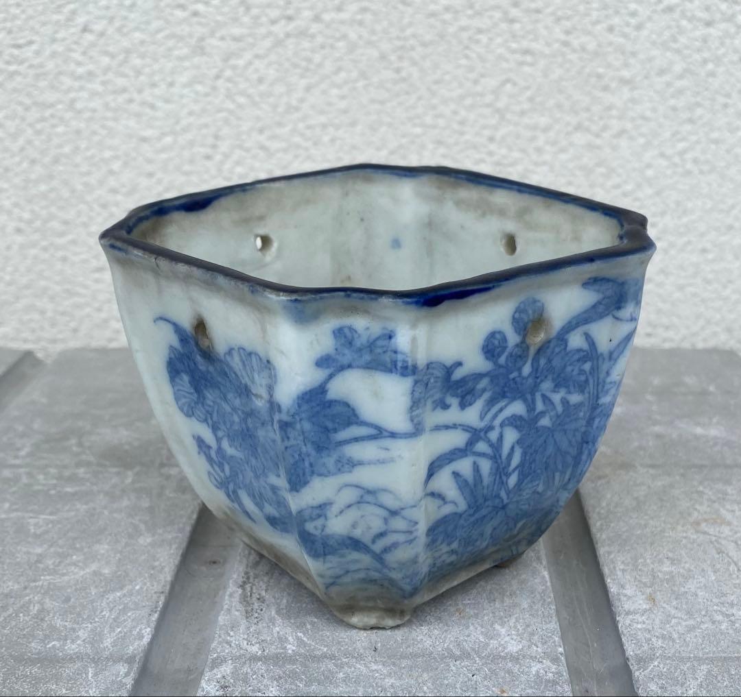 希少 瀬戸焼 染付け 菱形 骨董 盆栽鉢 盆栽 植木鉢