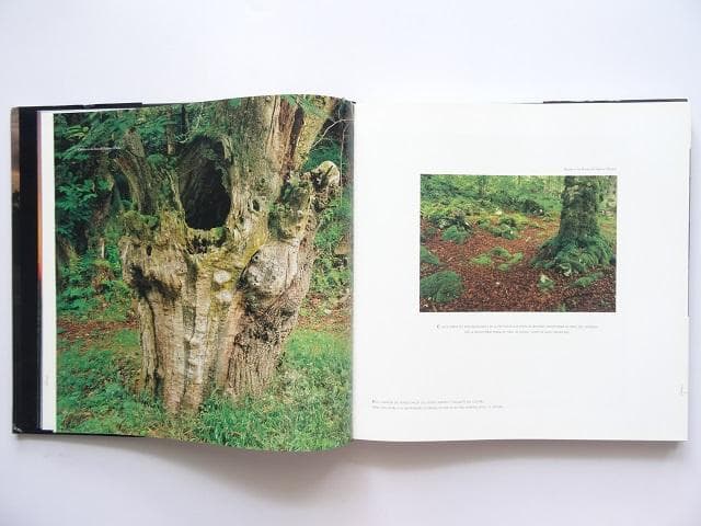 洋書◆アストゥリアス 風景写真集 本 スペイン 景色 自然