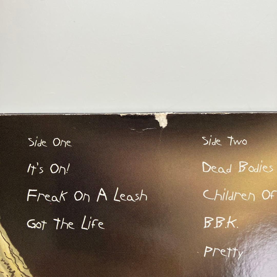 Korn/ Follow the Leader 2LP 1998年