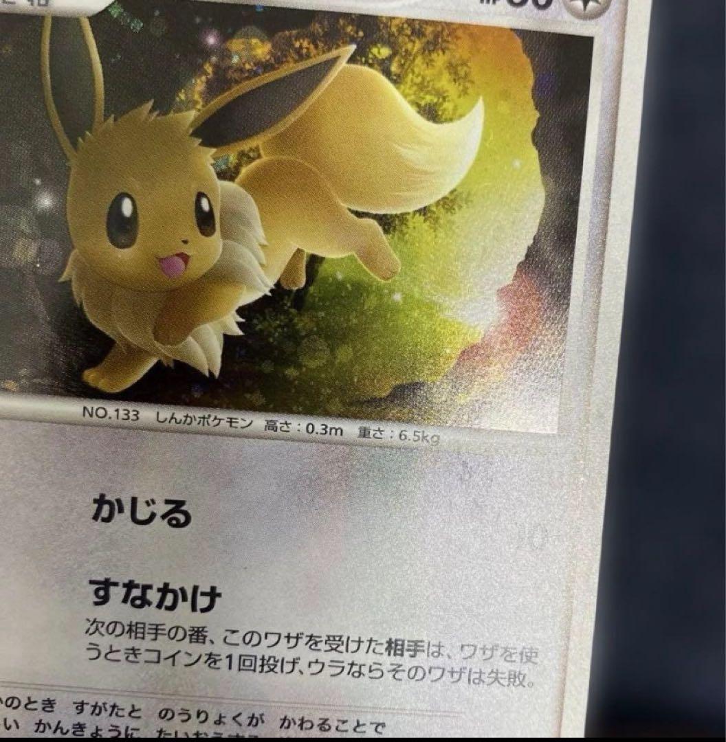 ポケカ　古めのポケモンカード　まとめ売り　イーブイ　カメックス　ピチュー　ホロ