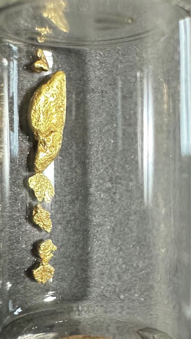 砂金　中粒　観賞・資料用
