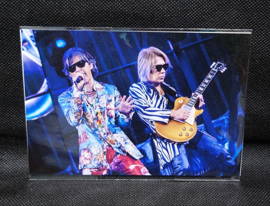 【popo113さま 専用ページ】B'z Pleasure 2023 STARS
