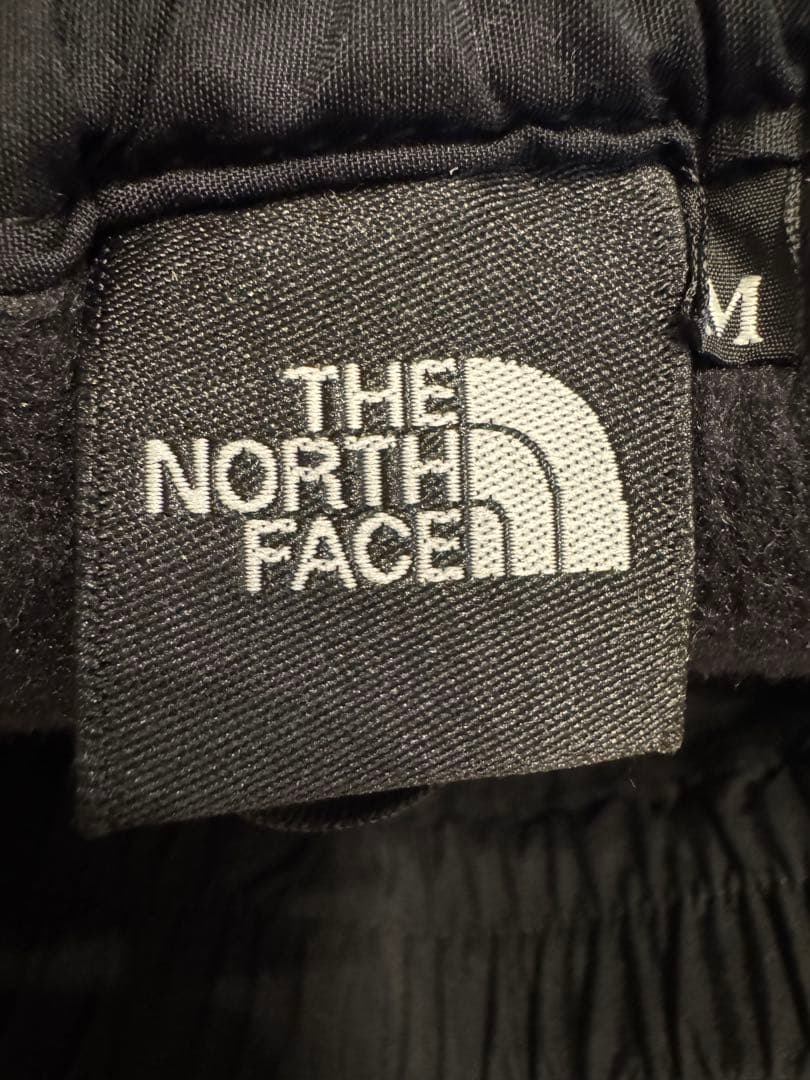 THE NORTH FACE デナリ パンツ M BLACK