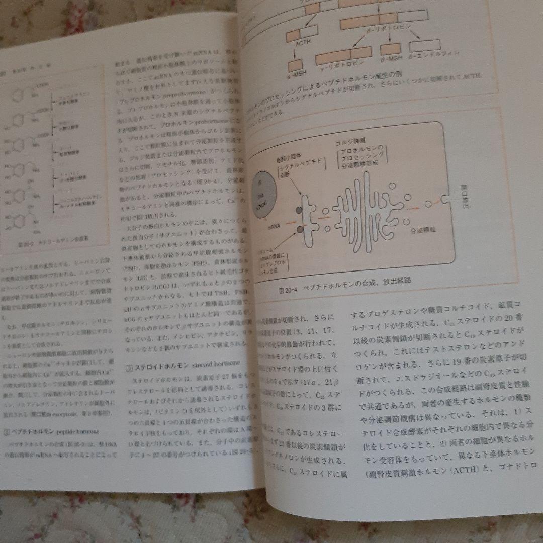 人体機能生理学　南江堂