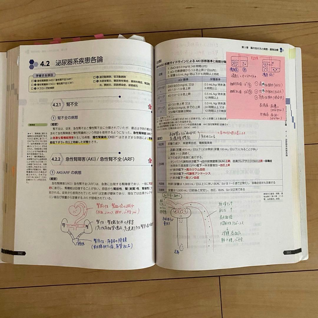 【書き込みあり】　第110回薬剤師国家試験対策参考書　青本青問セット（おまけ付）