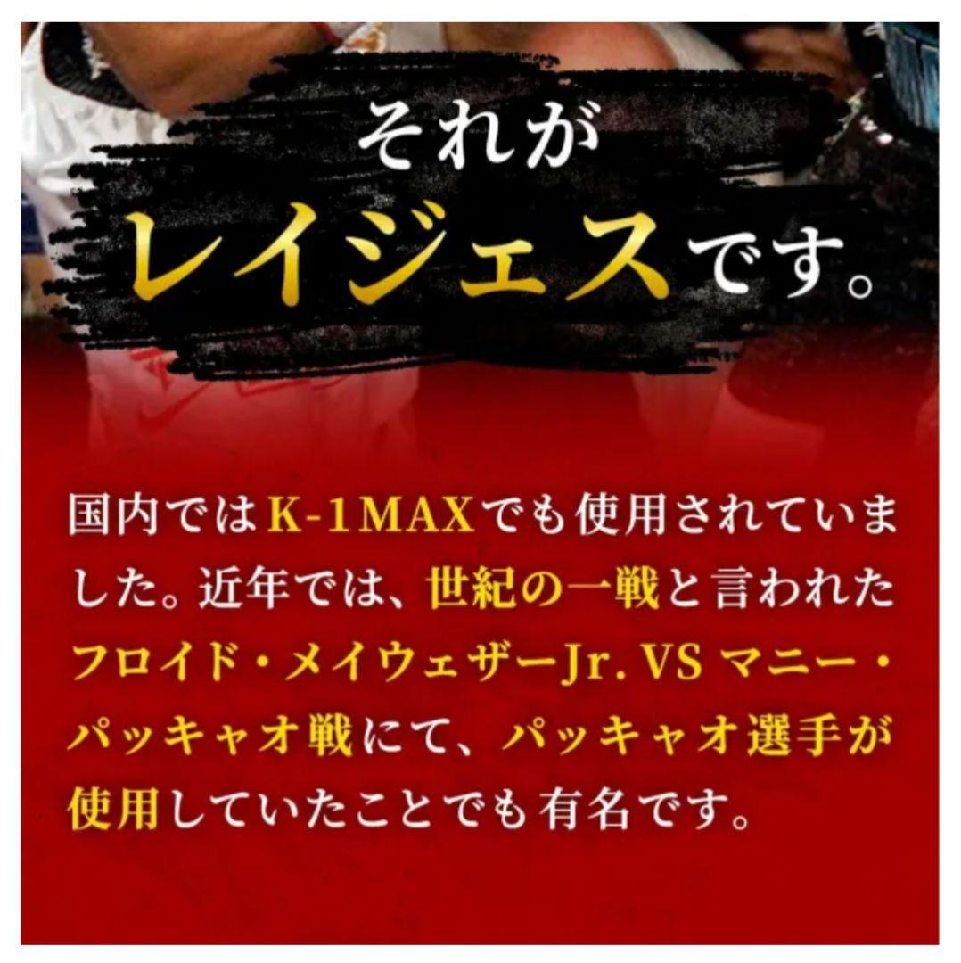 【美品】レイジェス バッグ打ち用グローブ【ゴム式 L/E352