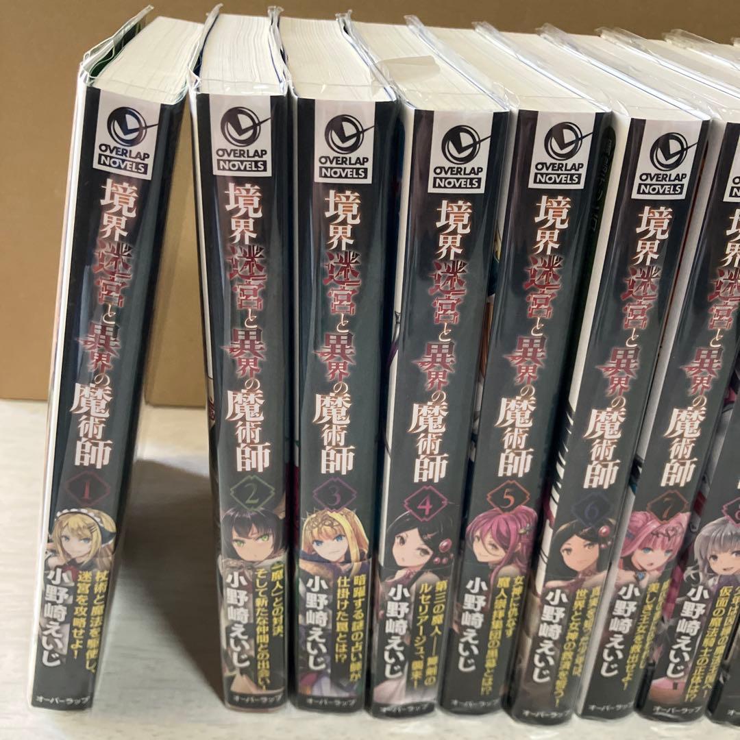 境界迷宮と異界の魔術師