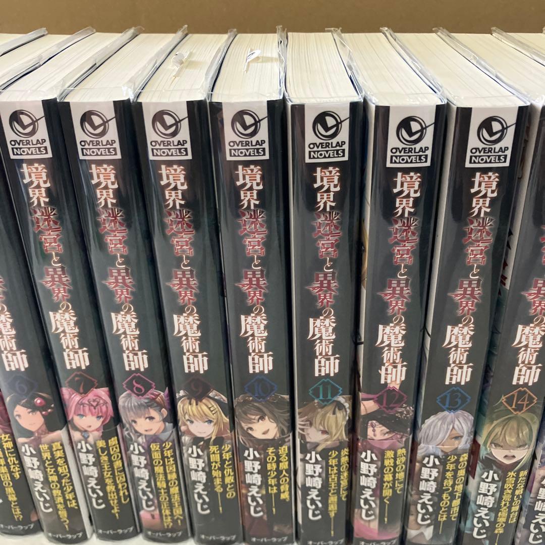 境界迷宮と異界の魔術師