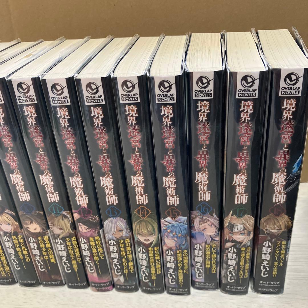 境界迷宮と異界の魔術師