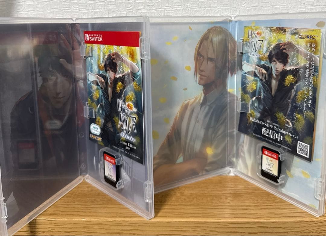 Switch 囚われのパルマ まとめ売り