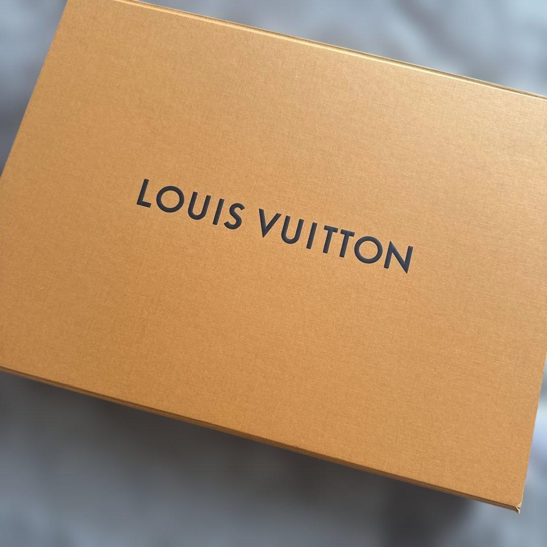 LOUISVUITTONプリントTシャツM