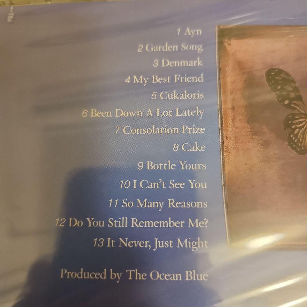 洋楽 The Ocean Blue Davy Jones' Locker