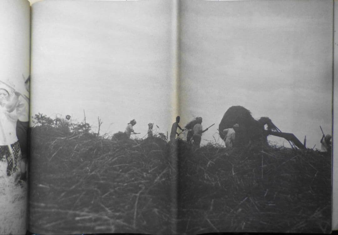 野本三吉写真集 ぼくは太陽の子どもだった　1969年初版　青年社　a