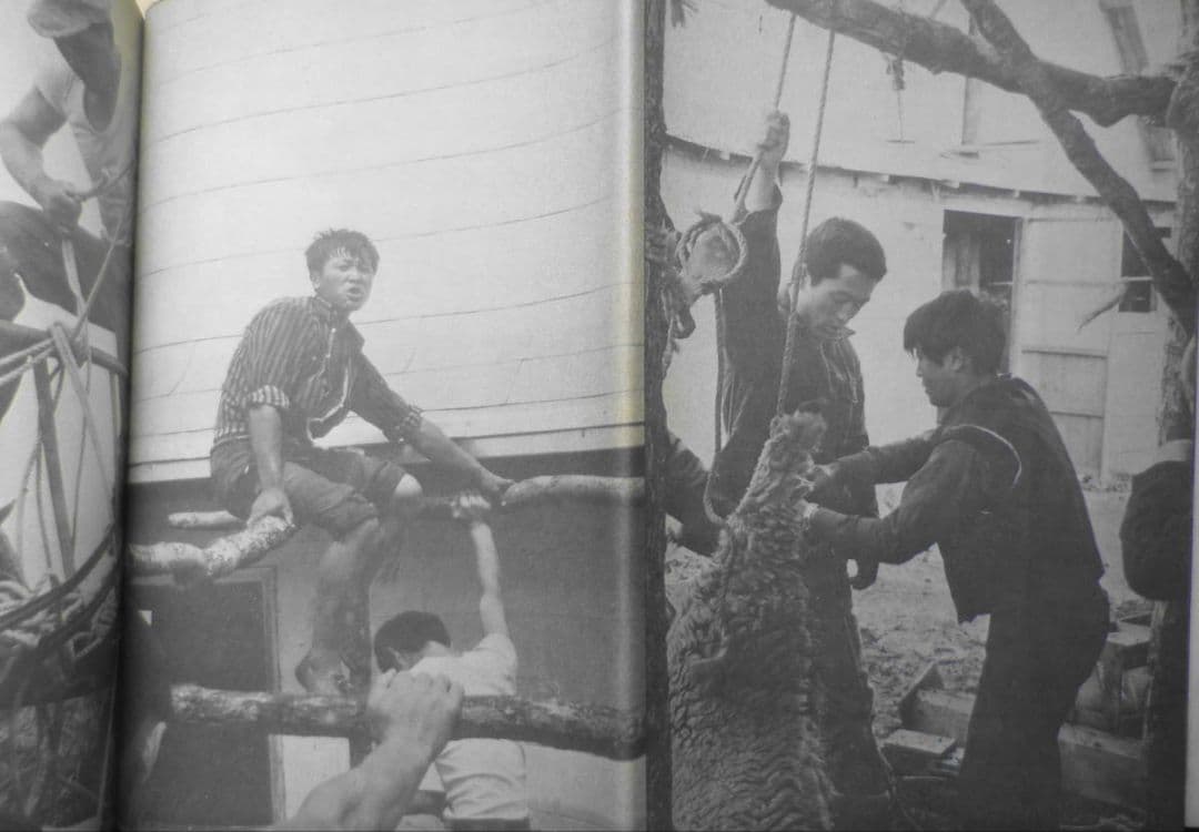 野本三吉写真集 ぼくは太陽の子どもだった　1969年初版　青年社　a