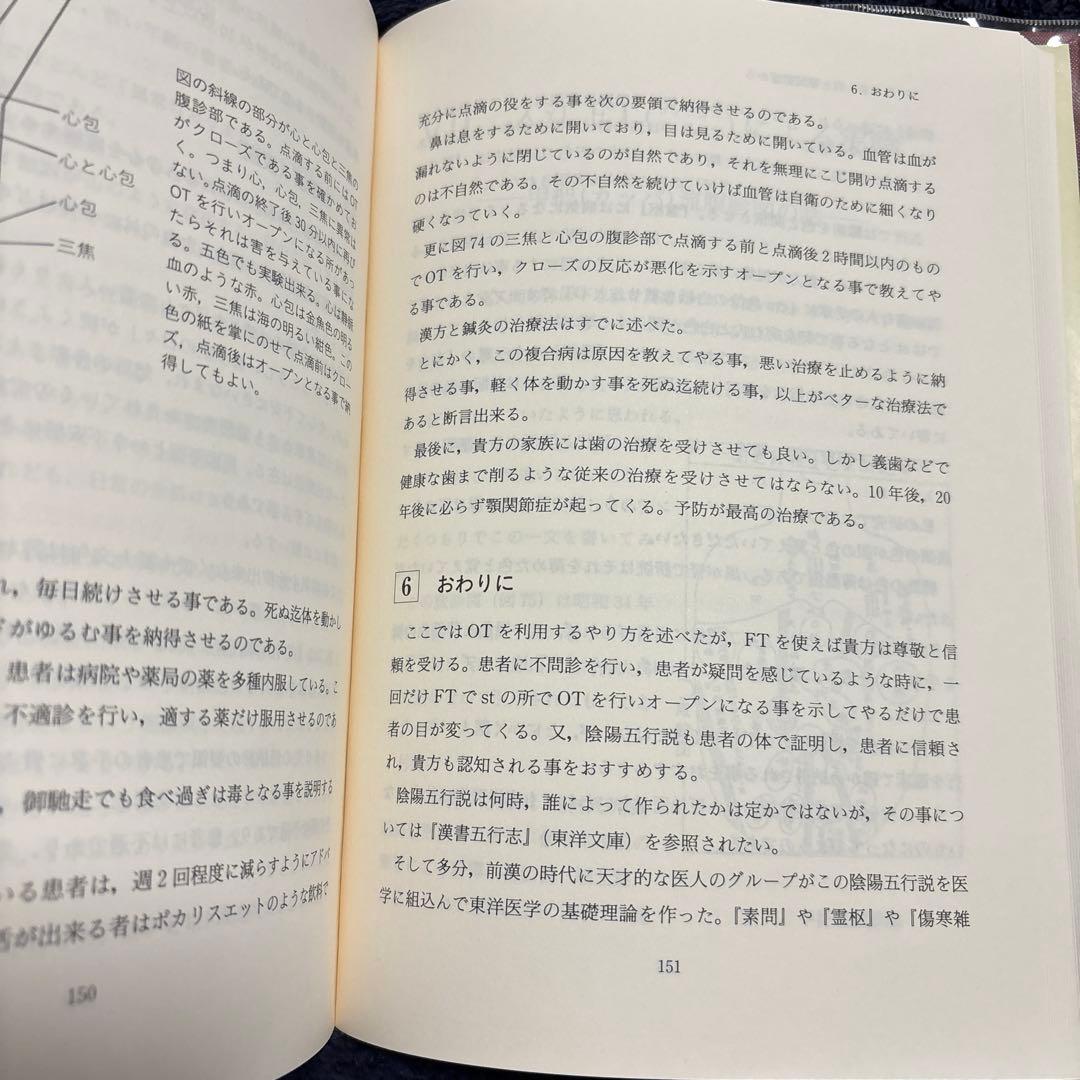 臨床東洋医学原論 入江FTによる診断と治療 入江正著