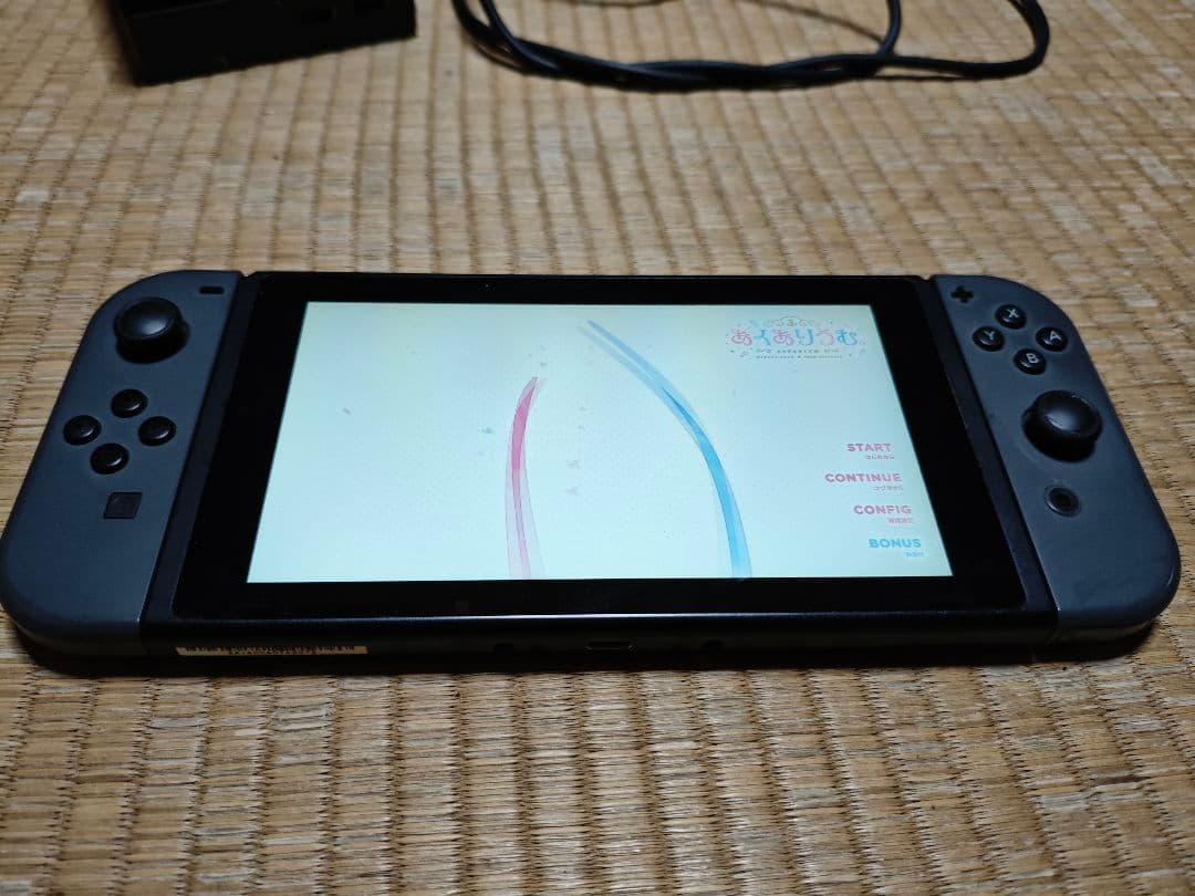 Nintendo Switch 本体 + ジョイコン、ドッグ