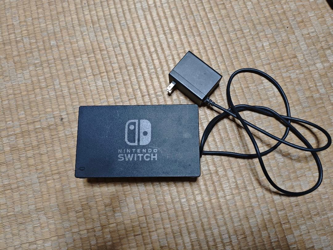 Nintendo Switch 本体 + ジョイコン、ドッグ