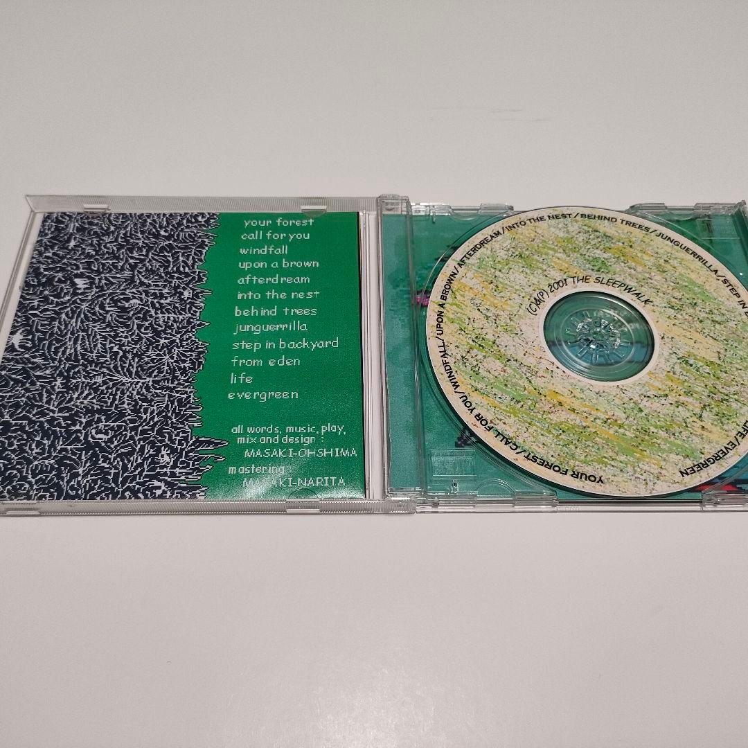 【入手困難・自主製作・美品】[The Sleepwalk] Foss Darya