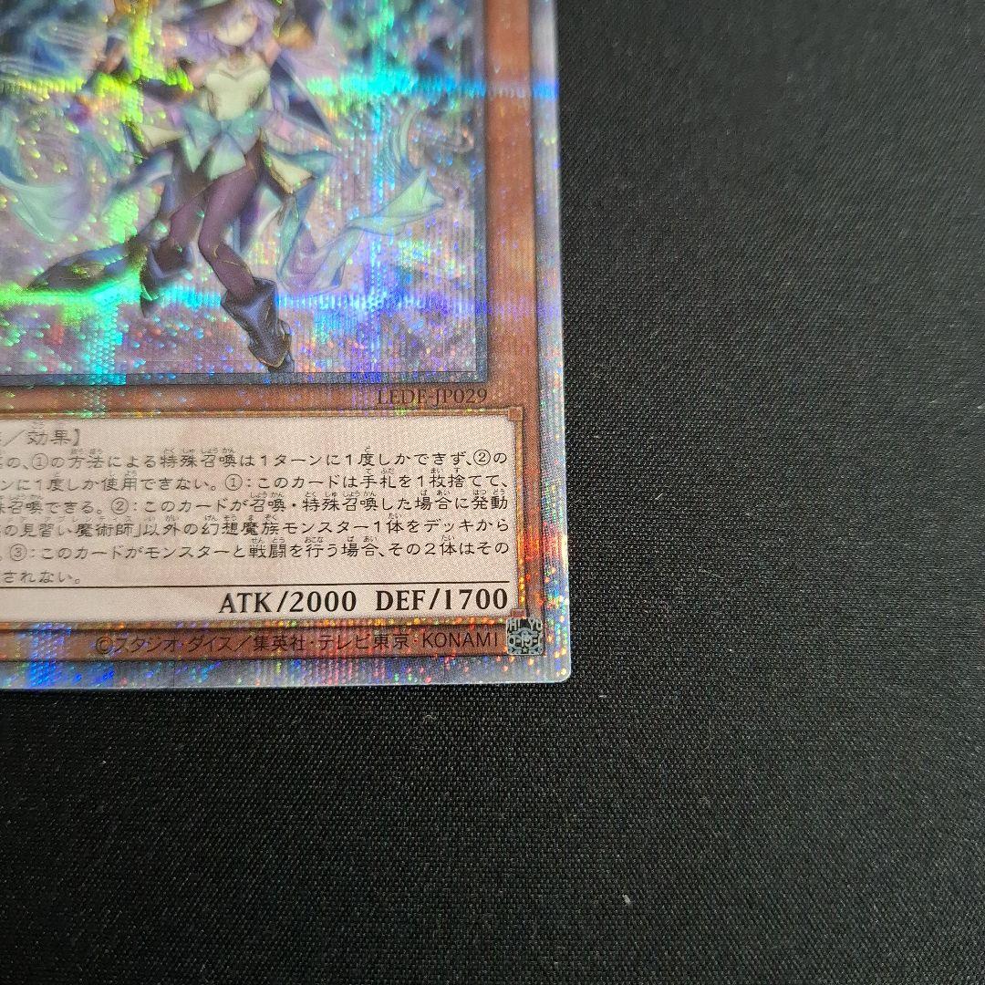 遊戯王 幻惑の見習い魔術師 25thシク