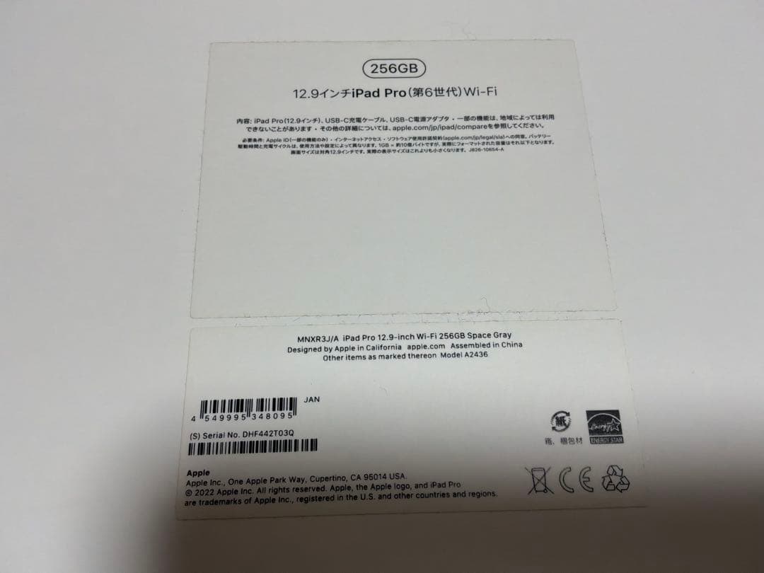 iPad Pro (第6世代) 12.9インチ　Wi-Fi　256GB