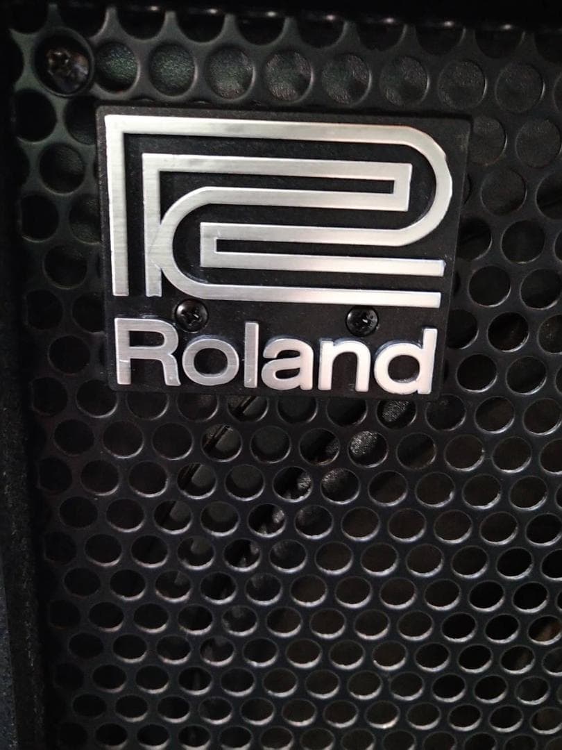 Roland CUBE 100 BASS ベース用アンプ