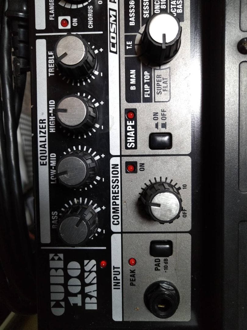 Roland CUBE 100 BASS ベース用アンプ