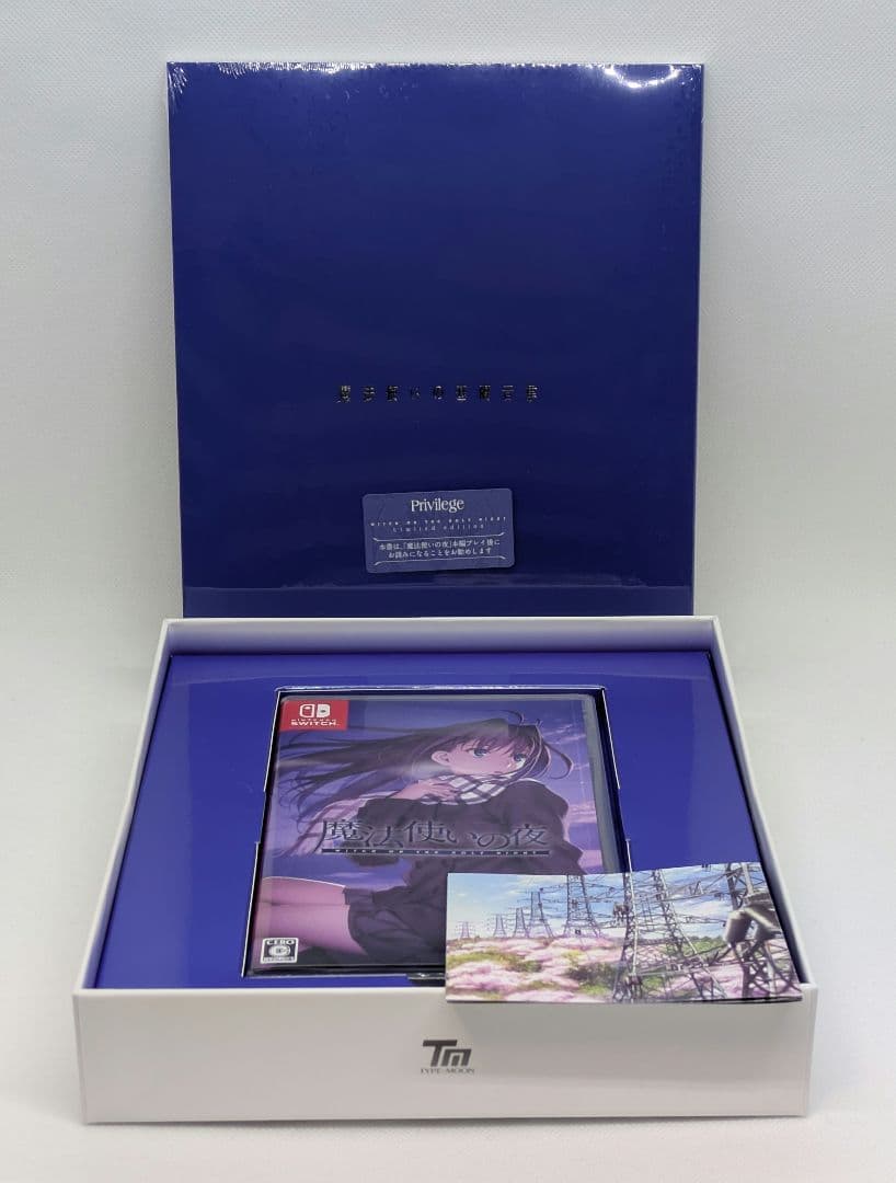 【Switch】魔法使いの夜 初回限定版 付属品完品 動作確認済み