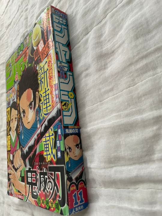 鬼滅の刃 新連載号〜第六話掲載号【バラ売り・値下げ可】