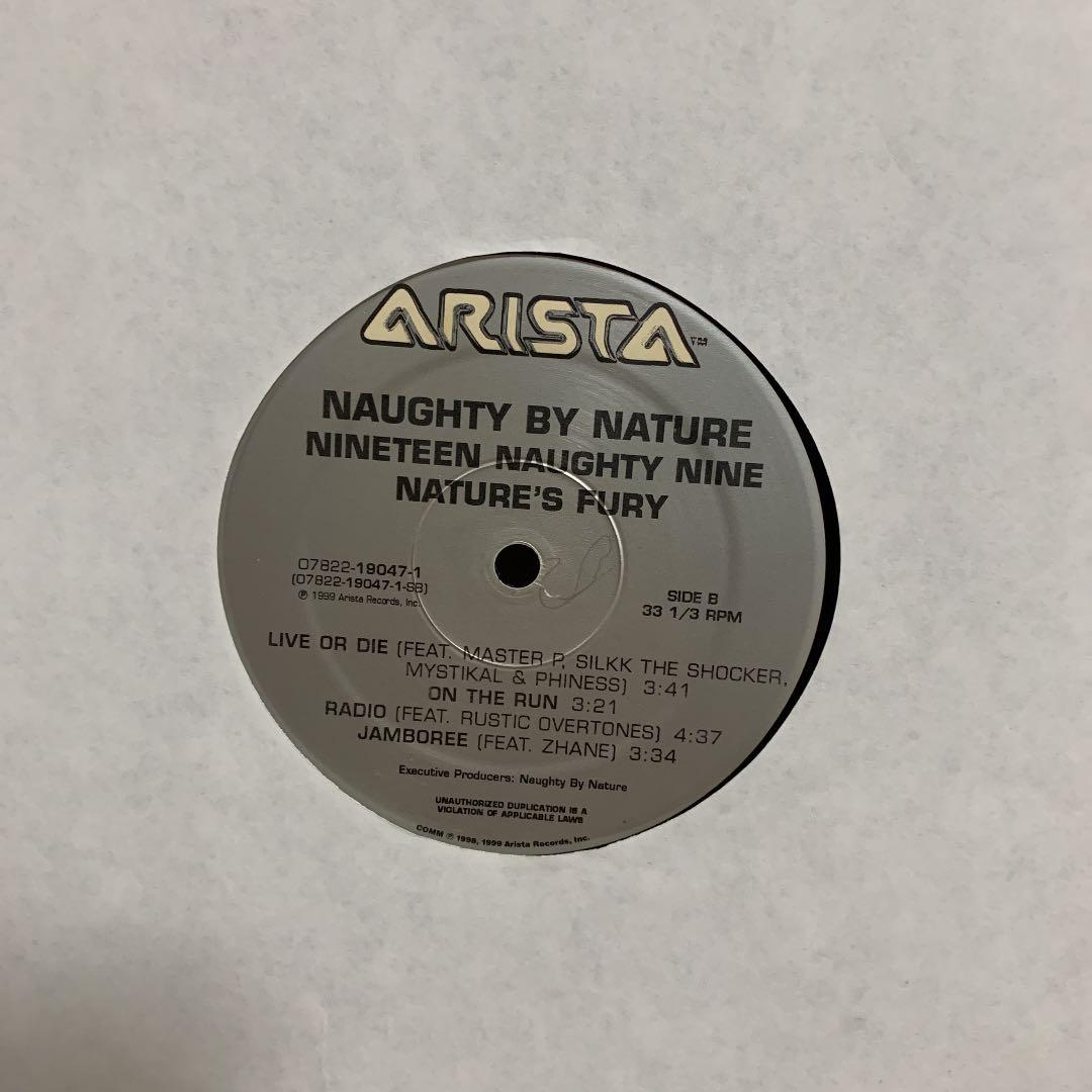 洋楽 naughty by nature
