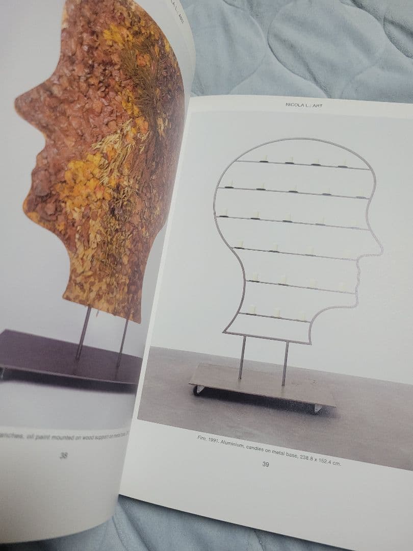 Nicola L. / NICOLA L.: LIFE AND ART 洋書
