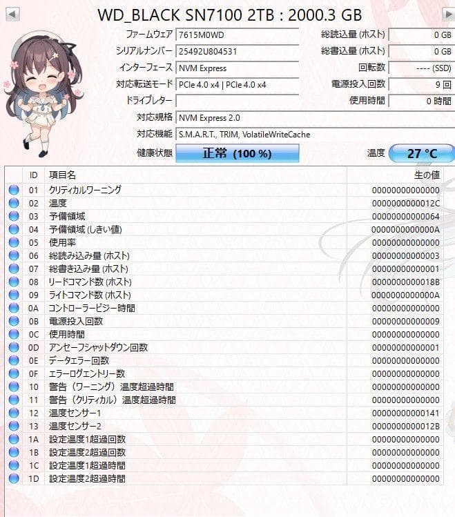 内蔵型SSD M.2 SSD 2TB WD Black SN7100