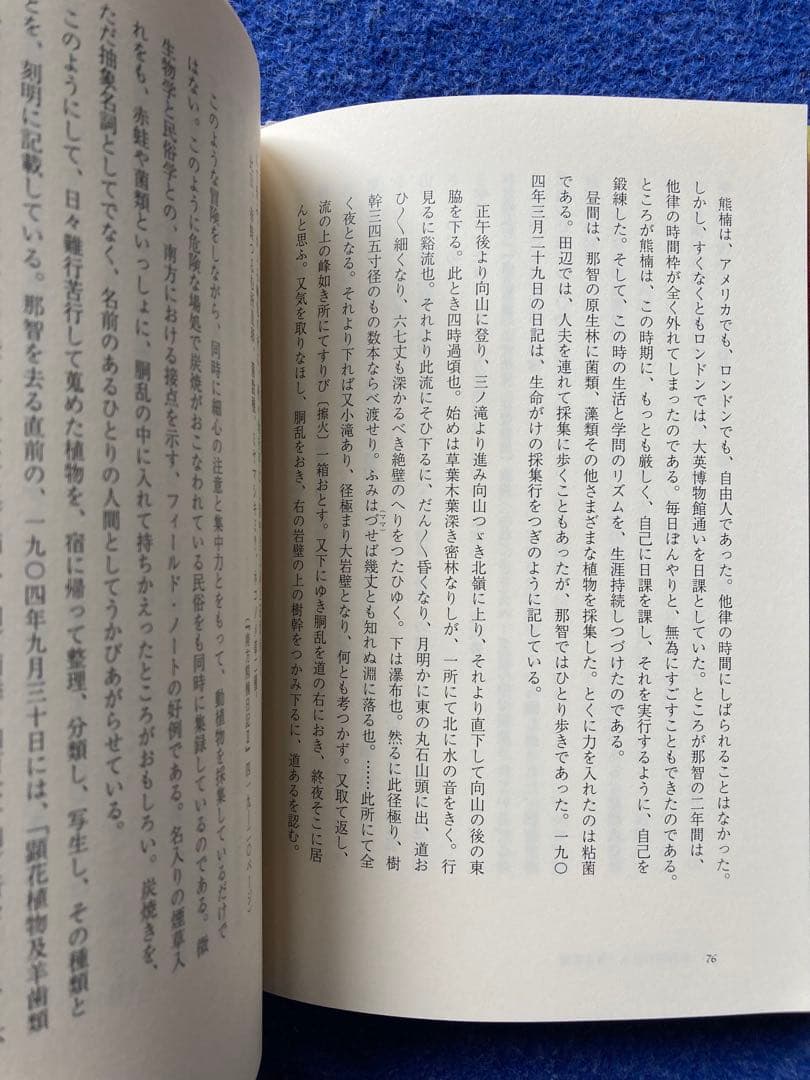 鶴見和子曼荼羅Ⅴ 水の巻　南方熊楠のコスモロジー