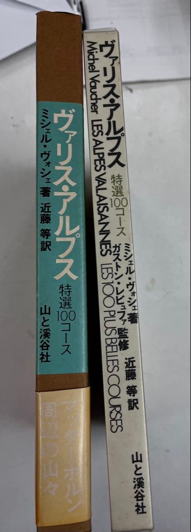 ヴァリス・アルプス 特選100コース
