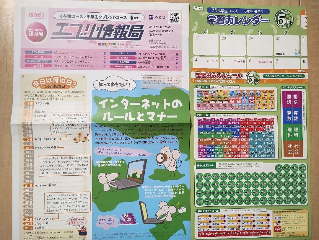 Z会 小6 エブリスタディ ハイレベル1年分