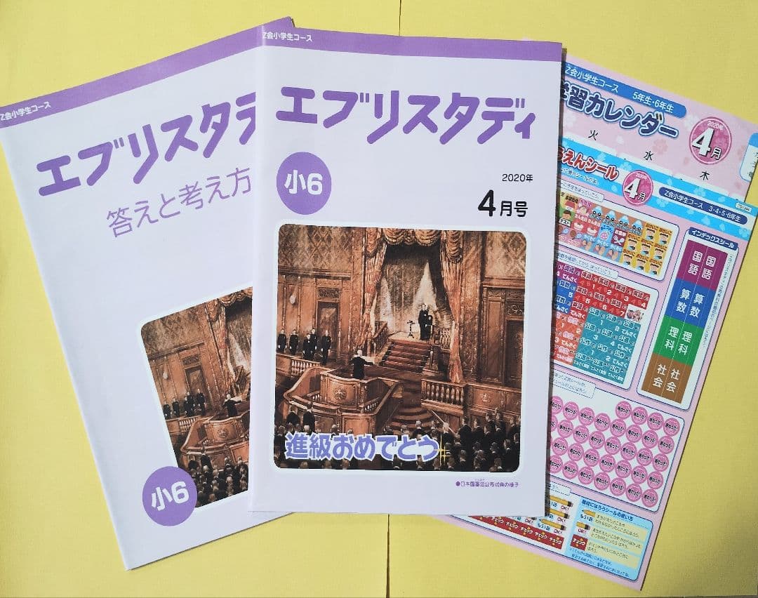 Z会 小6 エブリスタディ ハイレベル1年分
