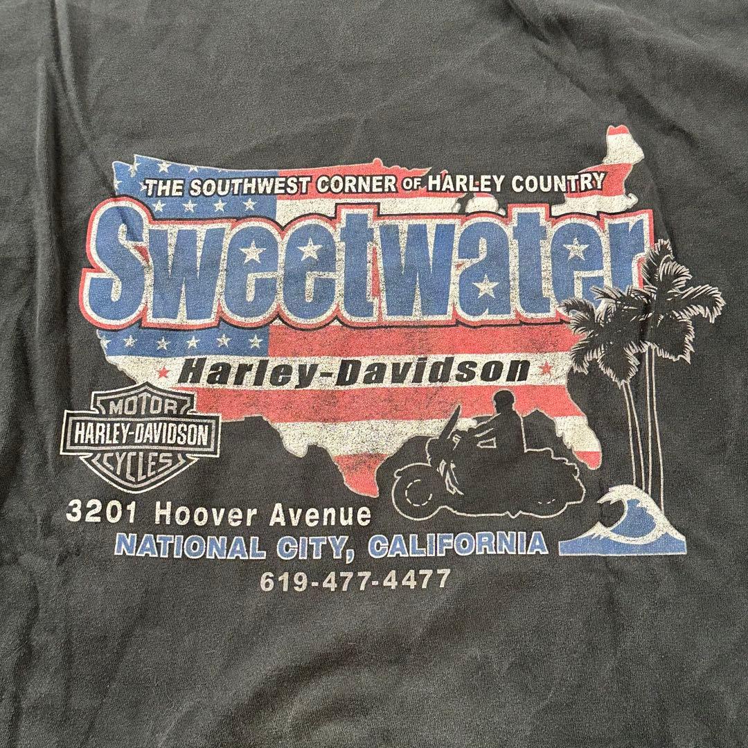 Harley Davidson トライバル フレイム ブルー ロンT