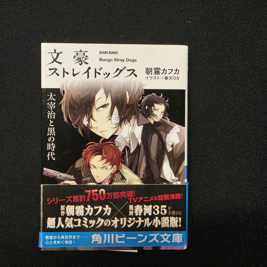 文豪ストレイドッグス 小説セット 詳しくは本文