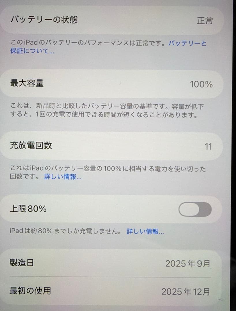 iPad mini 7 Wi-Fi 128GB バッテリー100% 値下げ不可
