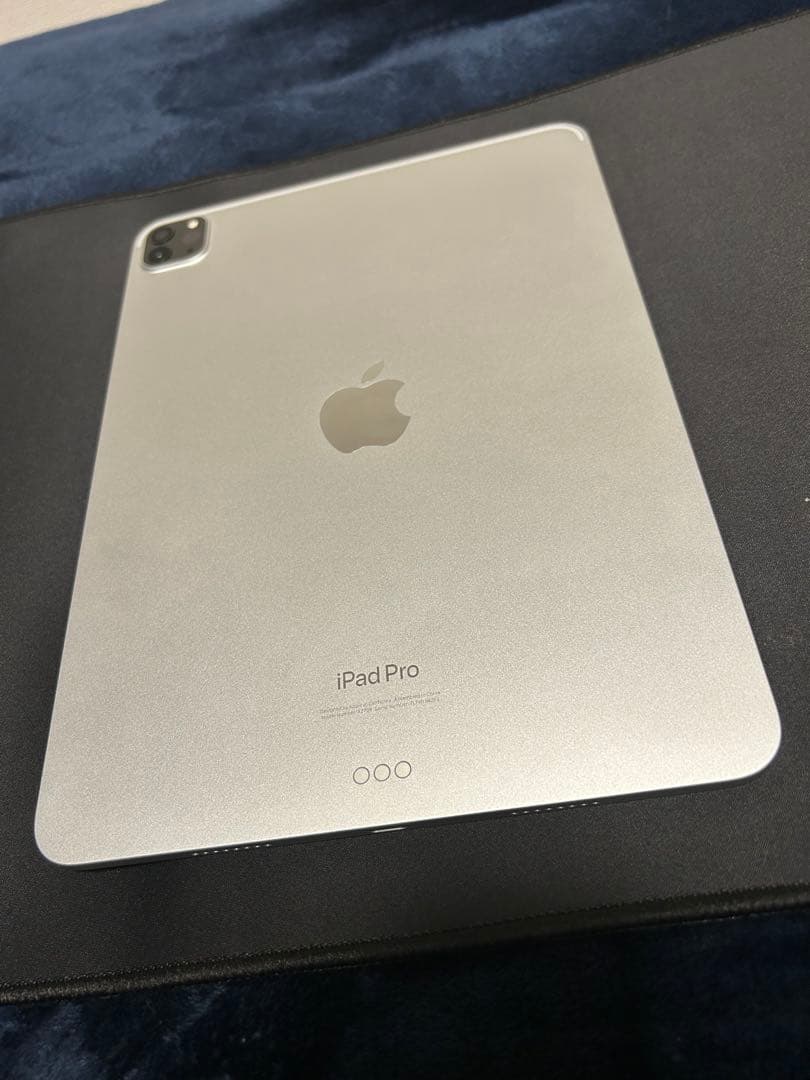 Apple iPad Pro 11インチ　第4世代　Apple Pencil