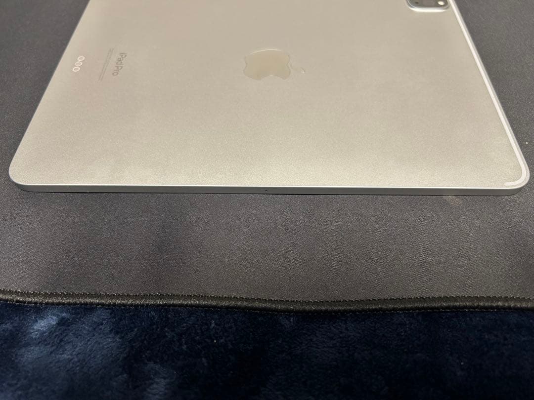 Apple iPad Pro 11インチ　第4世代　Apple Pencil