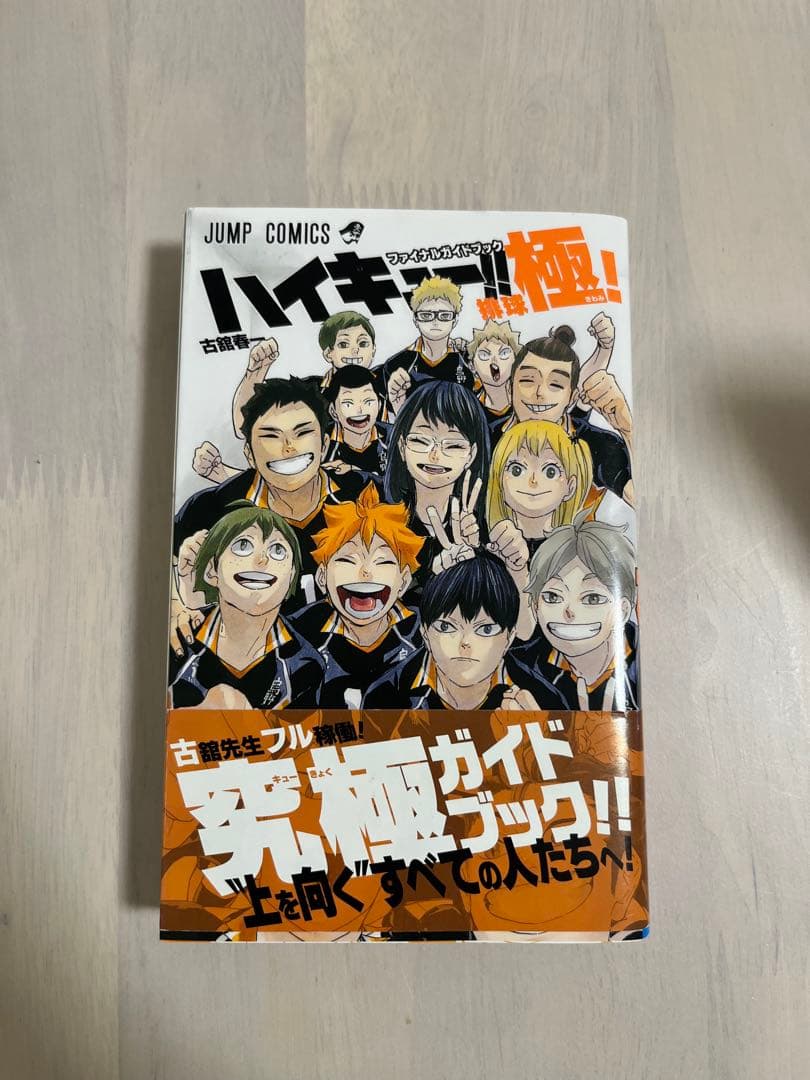 ハイキュー!! 単行本 極みガイドブック 10thクロニクル グッズ同梱版