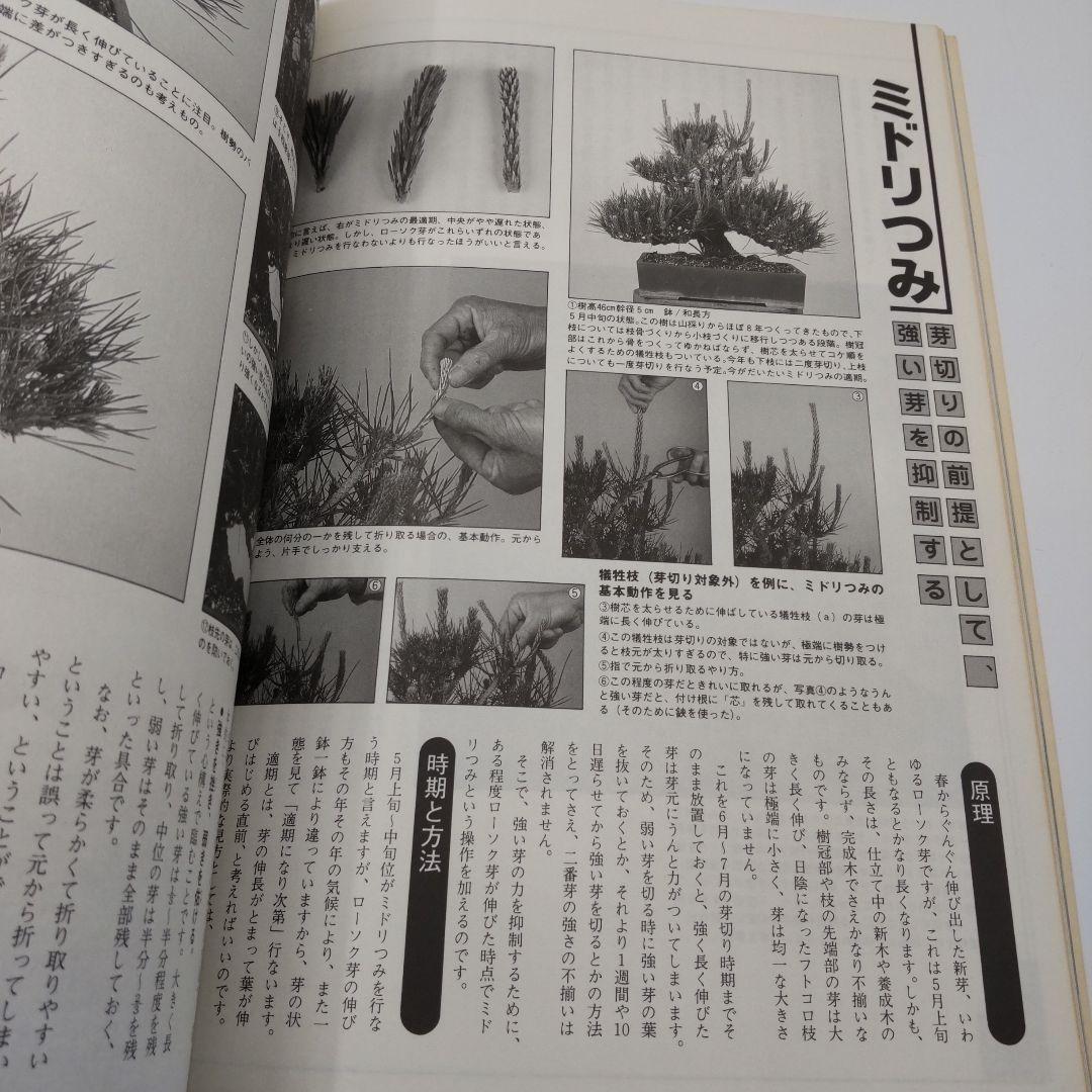 Tararin　黒松のすべて 3冊