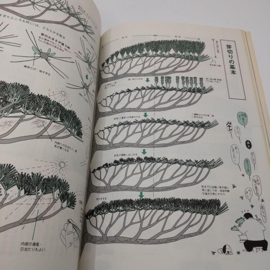 Tararin　黒松のすべて 3冊