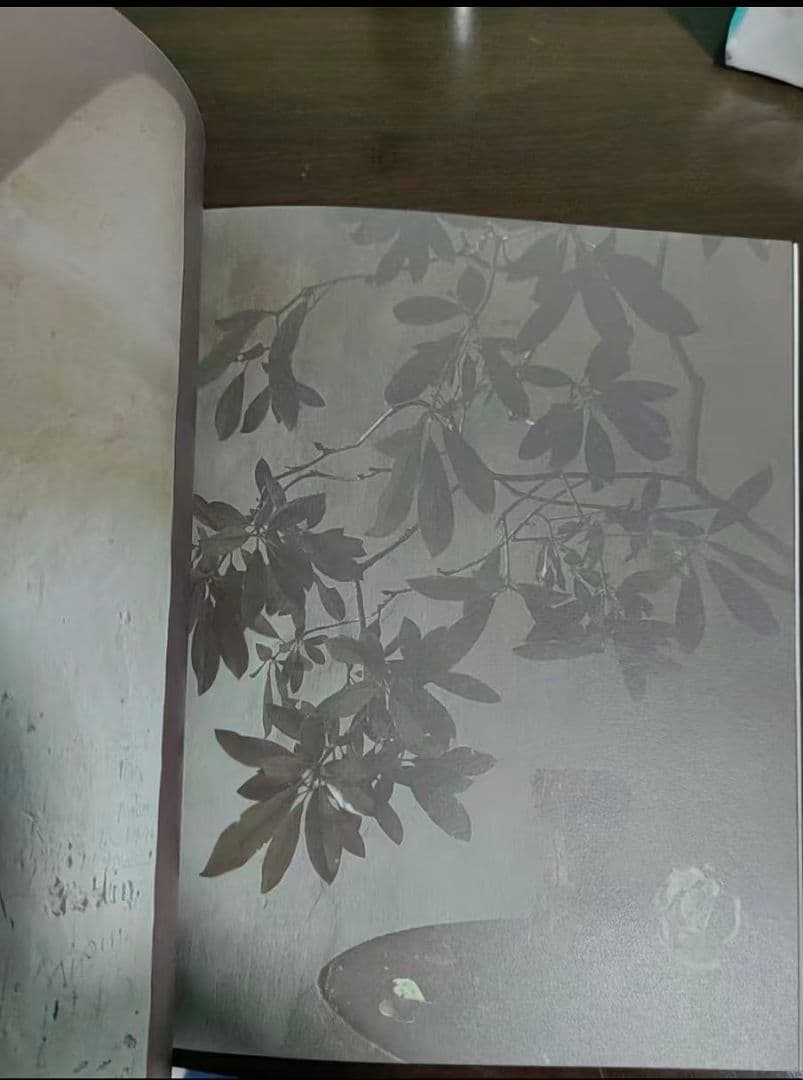 axel vervoordt wabi inspirations アートブック