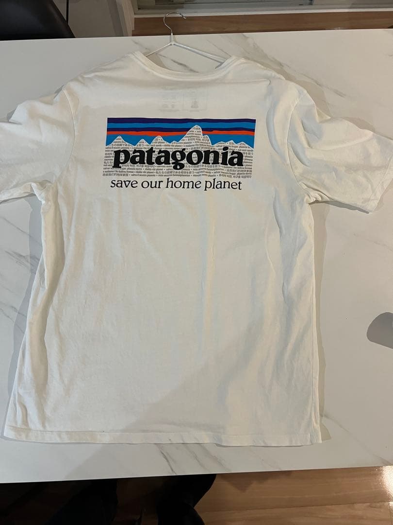 Tシャツ　まとめ売り　ノースフェイス／エレッセ／ラコステ/パタゴニア/POLO