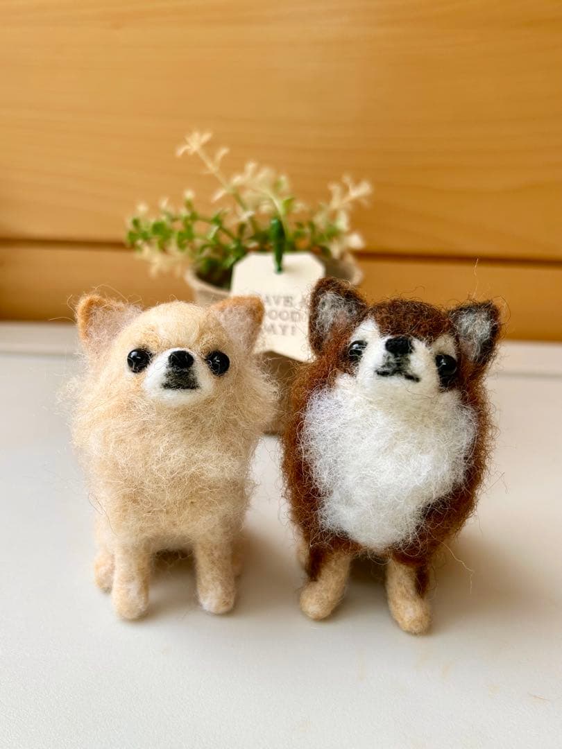 みー♪チワワちゃん 犬 羊毛フェルト ハンドメイド
